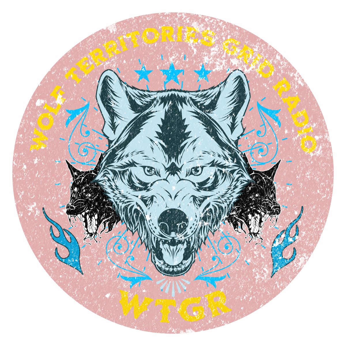 WTGR logo